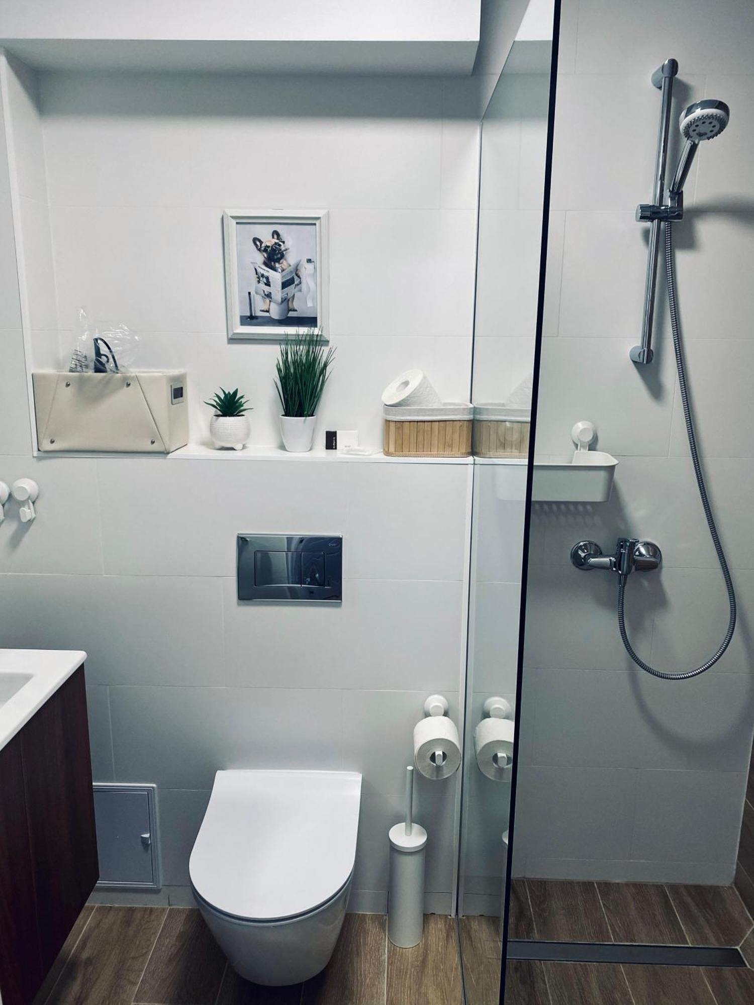 Central Luxury Apartment Ιάσιο Εξωτερικό φωτογραφία